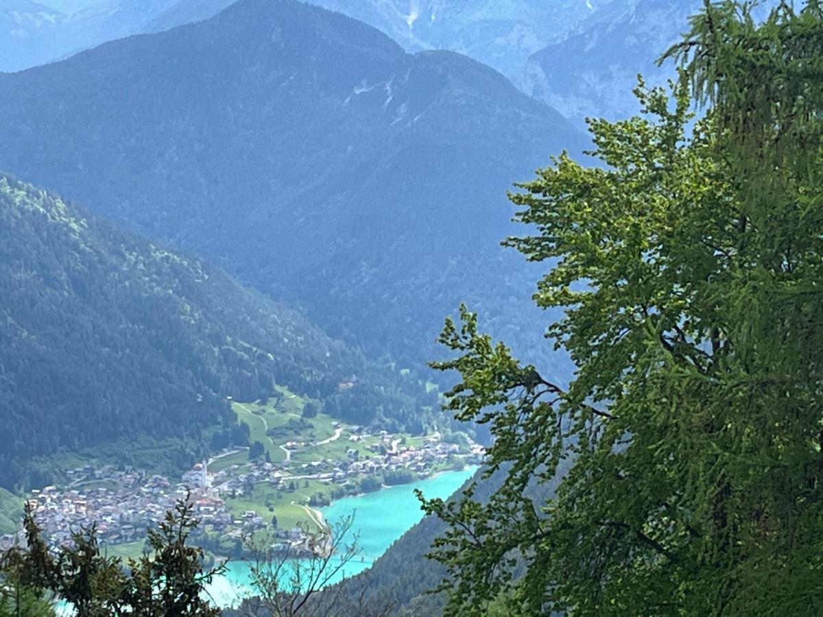 Apartment Ciasa Giulia Auronzo di Cadore
