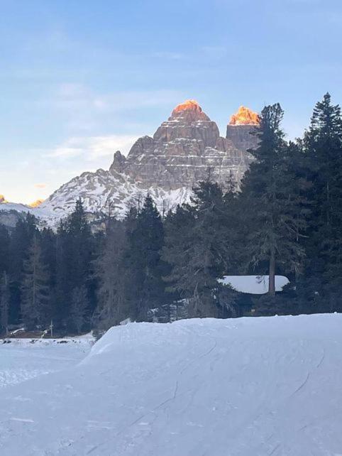 Ciasa Giulia Apartment Auronzo di Cadore